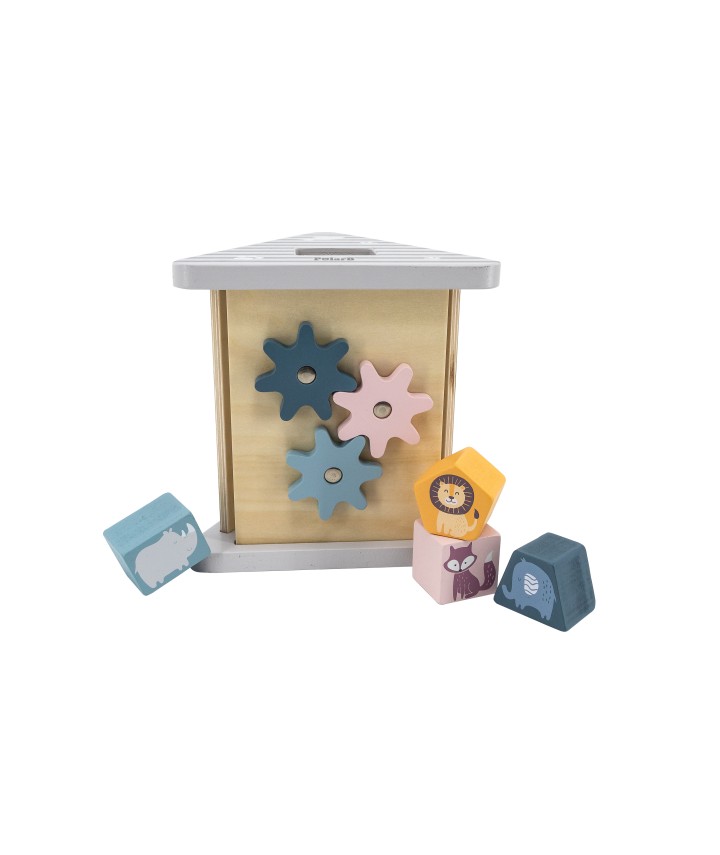 Shape Sorter & Gear Play