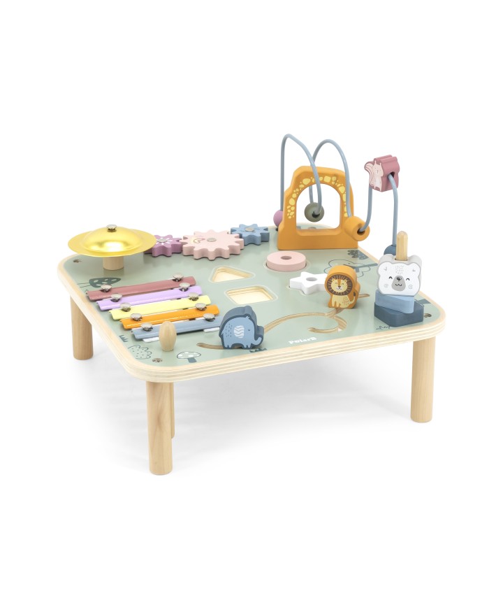 Multi Function Activity Table