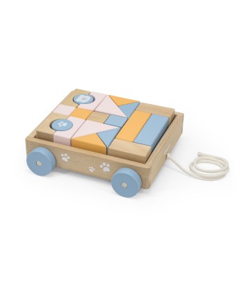 Pull Along Wagon with Blocks - PolarB