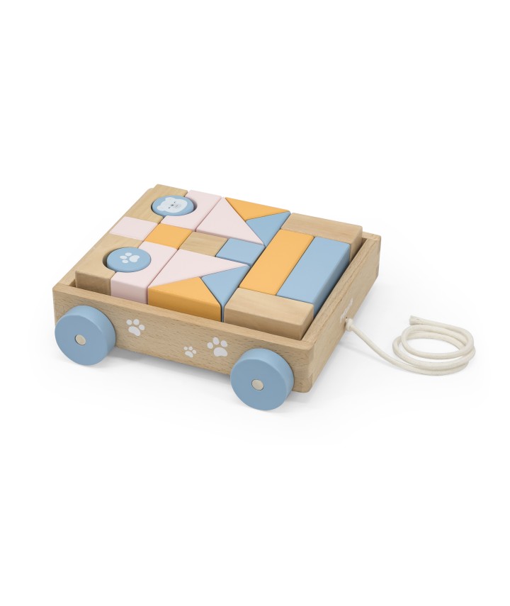 Pull Along Wagon with Blocks - PolarB