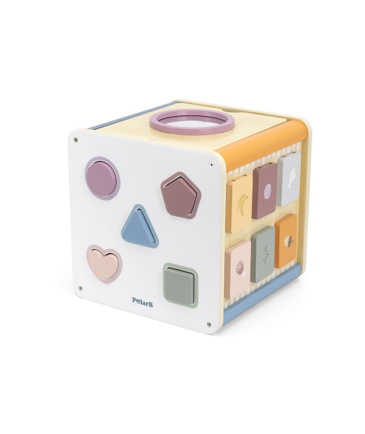 8 in 1 Activity Box - PolarB