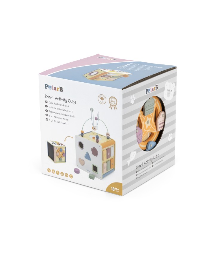 8 in 1 Activity Box - PolarB