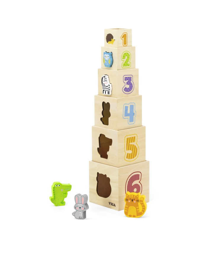 Nesting & Stacking Blocks