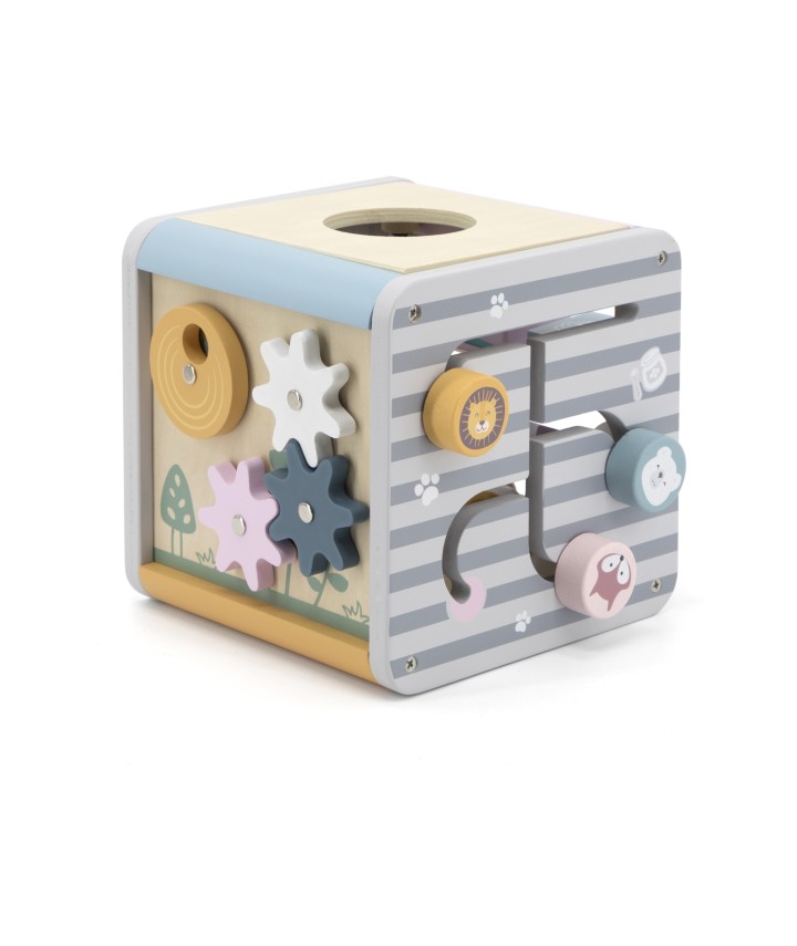 5 in 1 Activity Box - PolarB