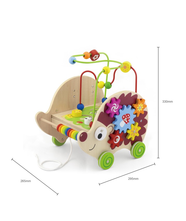 4 in 1 Pull Along Activity Hedgehog