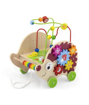 4 in 1 Pull Along Activity Hedgehog