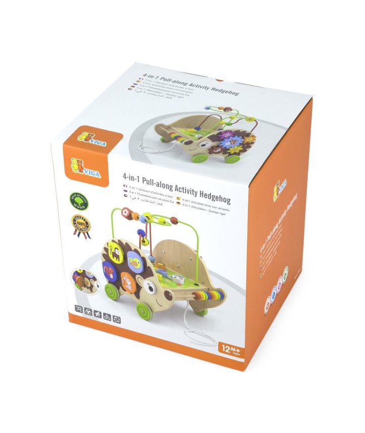 4 in 1 Pull Along Activity Hedgehog