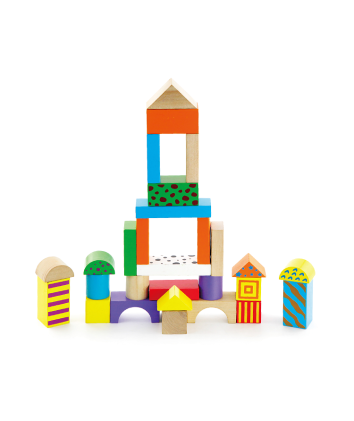 50 Piece Building Blocks 