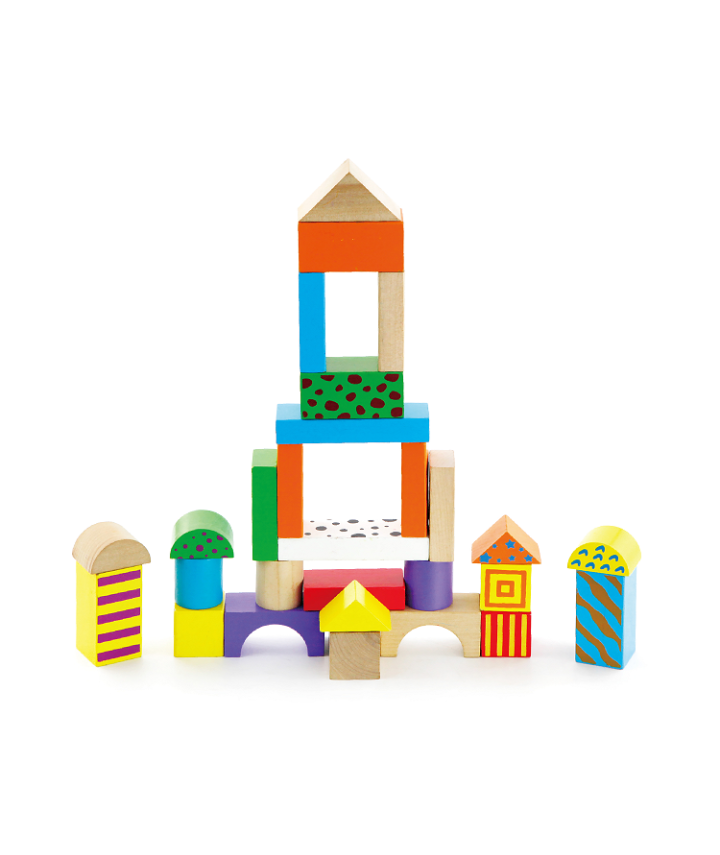 50 Piece Building Blocks 