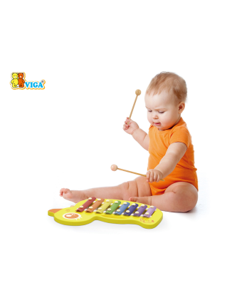 Duck Xylophone