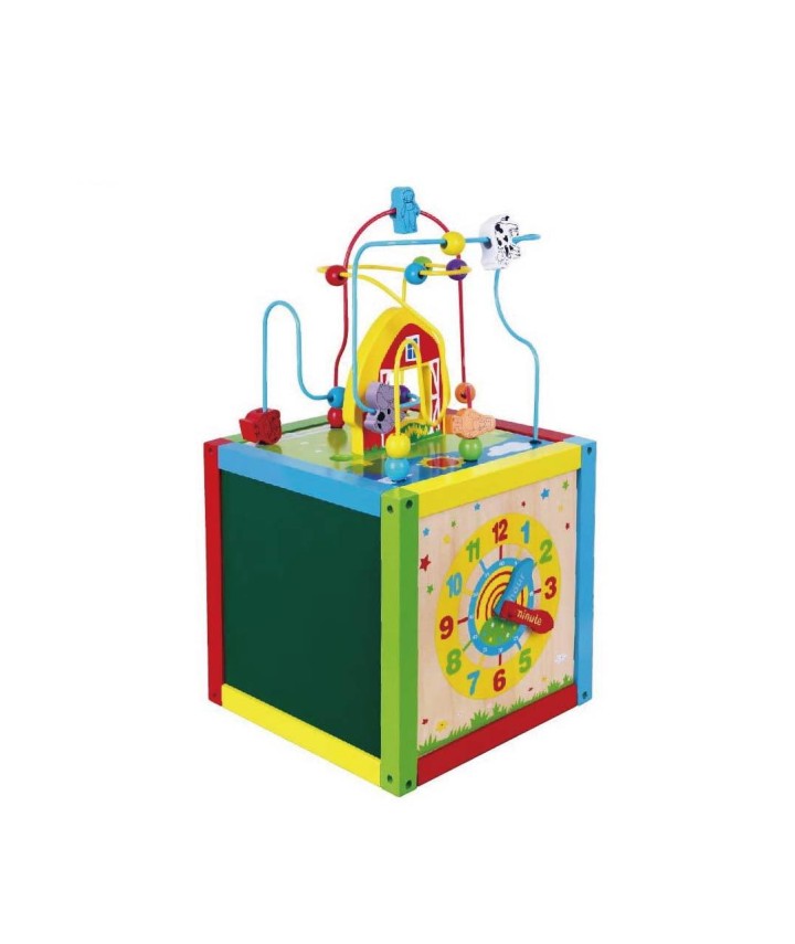 5 in 1 Activity Cube