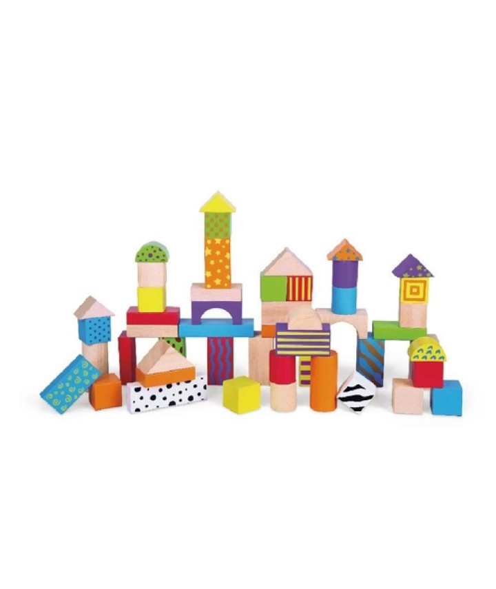 50 Piece Building Blocks 