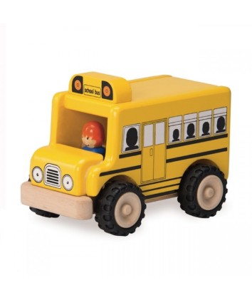 Mini School Bus