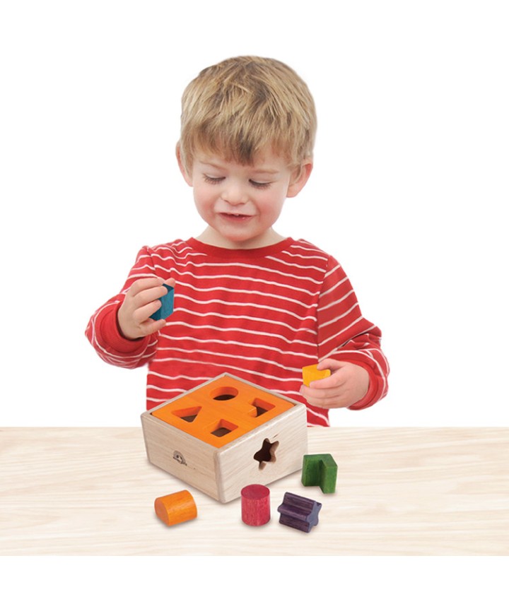 Natural Shape Sorter